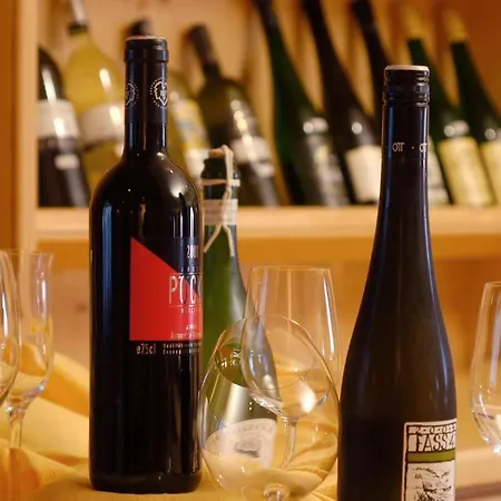 게스트하우스 가스트호프 레가